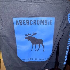 Abercrombie Kids Gray Sweatshirt with Blue Moose